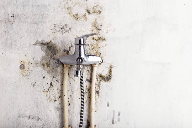 Best Certified Mold Removal  in Monticello, AR