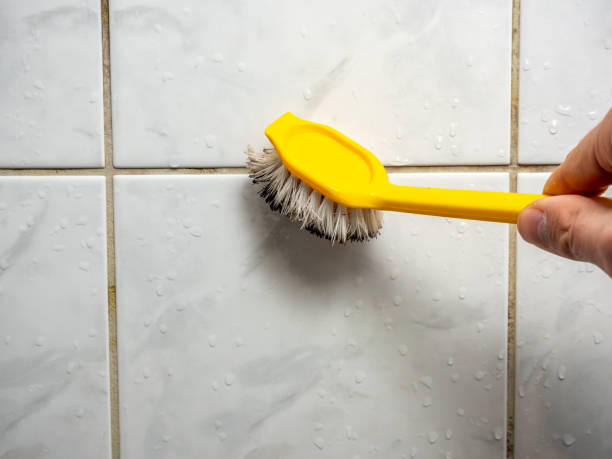 Best Same-Day Mold Removal  in Monticello, AR