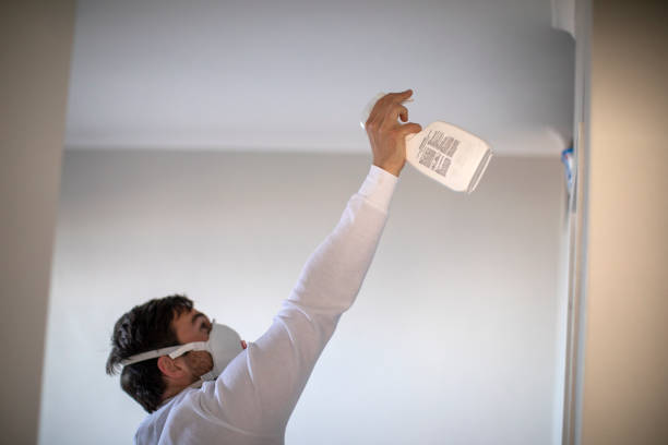 Best Local Mold Removal Service  in Monticello, AR