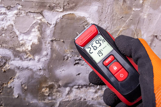 Best Mold Testing  in Monticello, AR